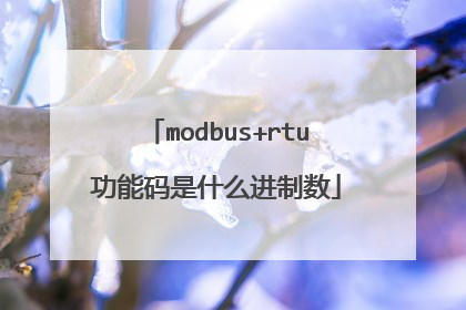 modbus+rtu功能码是什么进制数