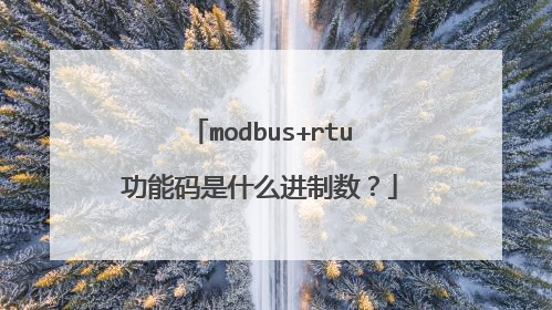 modbus+rtu功能码是什么进制数?