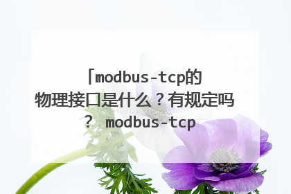 modbus-tcp的物理接口是什么?有规定吗? modbus-tcp报文格式和modbus-rtu有什么具体区别?