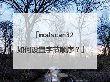 modscan32如何设置字节顺序？