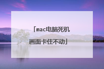 mac电脑死机画面卡住不动