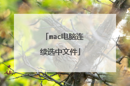 mac电脑连续选中文件