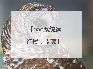 mac系统运行慢,卡顿