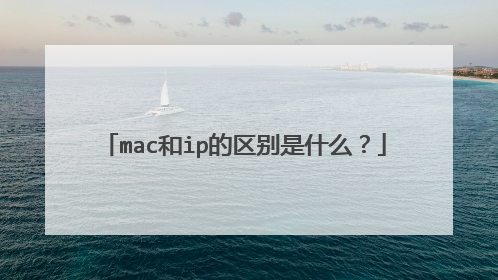 mac和ip的区别是什么？