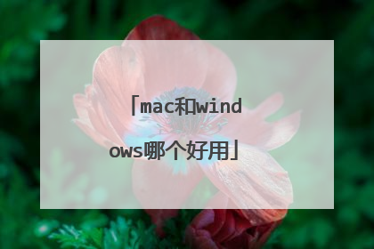 mac和windows哪个好用