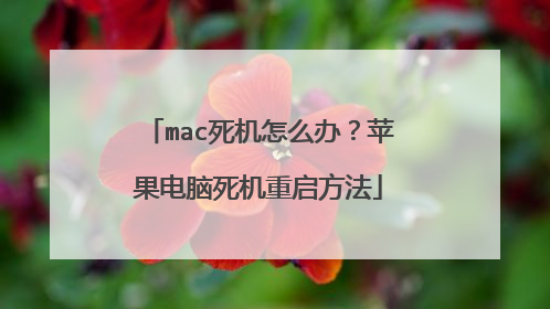mac死机怎么办?苹果电脑死机重启方法