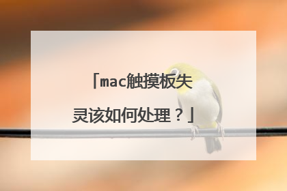 mac触摸板失灵该如何处理？