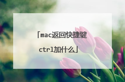 mac返回快捷键ctrl加什么