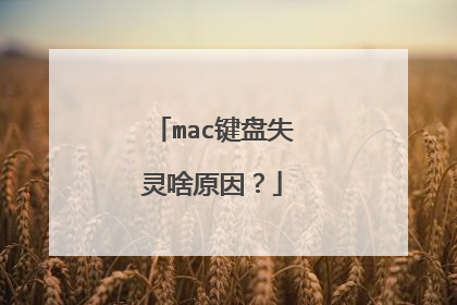 mac键盘失灵啥原因?