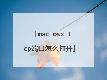 mac osx tcp端口怎么打开
