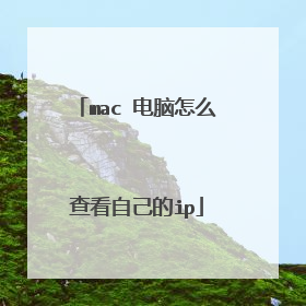 mac 电脑怎么查看自己的ip