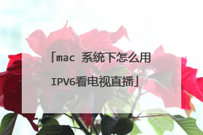 mac 系统下怎么用IPV6看电视直播