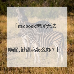 macbook黑屏无法唤醒,键盘亮怎么办?