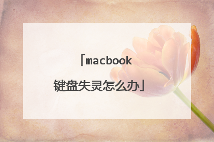 macbook键盘失灵怎么办