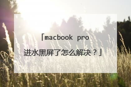 macbook pro 进水黑屏了怎么解决？