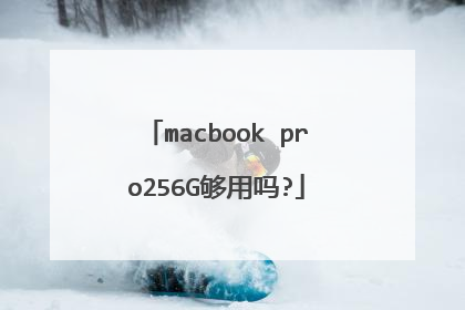 macbook pro256G够用吗?