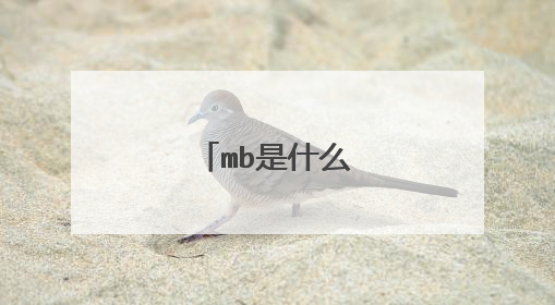 mb是什么意思啊？