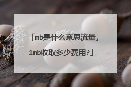 mb是什么意思流量,1mb收取多少费用?