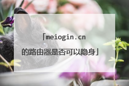 meiogin.cn的路由器是否可以隐身