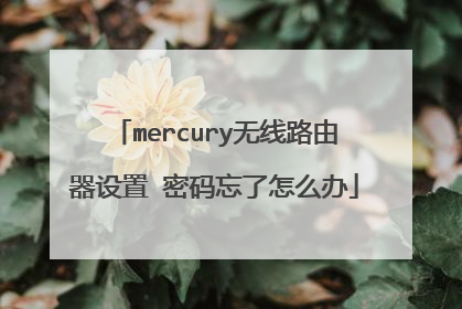mercury无线路由器设置 密码忘了怎么办