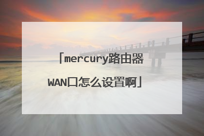 mercury路由器WAN口怎么设置啊