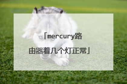 mercury路由器着几个灯正常