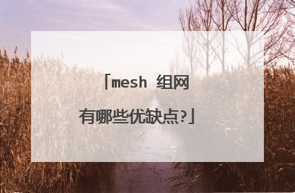mesh 组网有哪些优缺点?