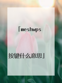 meshwps按键什么意思