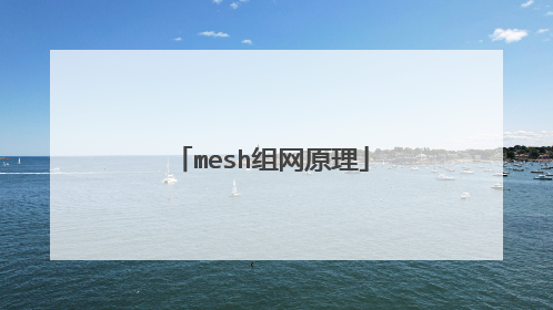 mesh组网原理