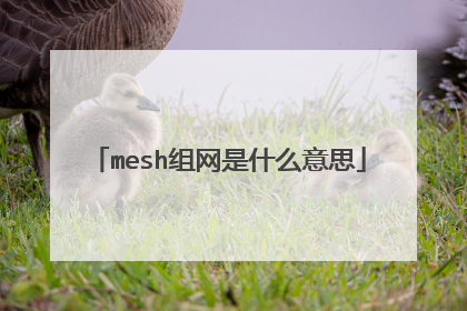 mesh组网是什么意思