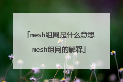 mesh组网是什么意思 mesh组网的解释