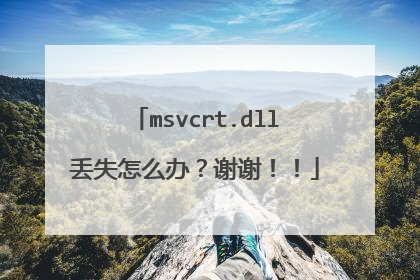 msvcrt.dll丢失怎么办?谢谢!!