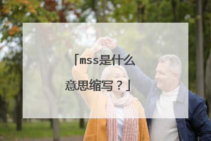 mss是什么意思缩写?