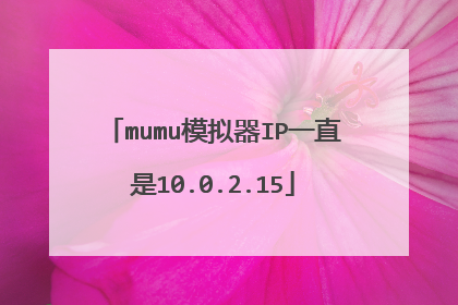 mumu模拟器IP一直是10.0.2.15