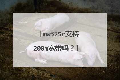 mw325r支持200m宽带吗？