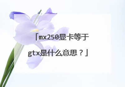 mx250显卡等于gtx是什么意思?