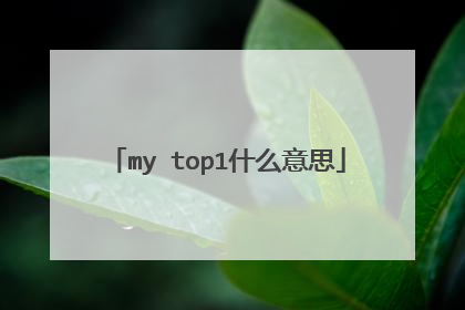 my top1什么意思
