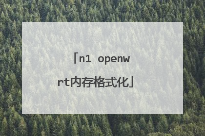 n1 openwrt内存格式化