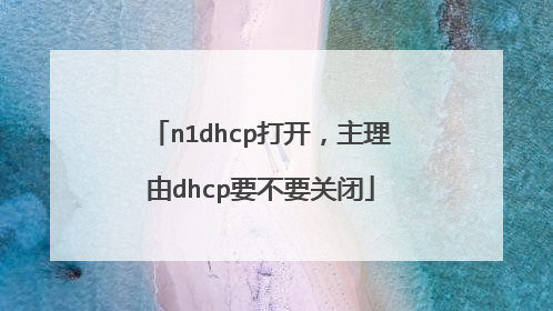 n1dhcp打开，主理由dhcp要不要关闭
