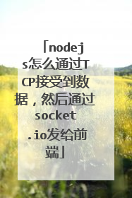nodejs怎么通过TCP接受到数据,然后通过socket.io发给前端