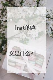 nat的含义是什么?