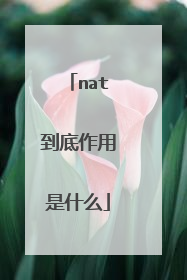 nat到底作用是什么