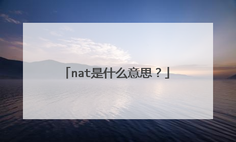 nat是什么意思?