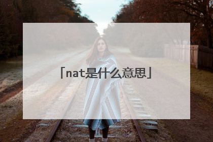 nat是什么意思