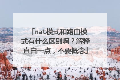 nat模式和路由模式有什么区别啊？解释直白一点，不要概念