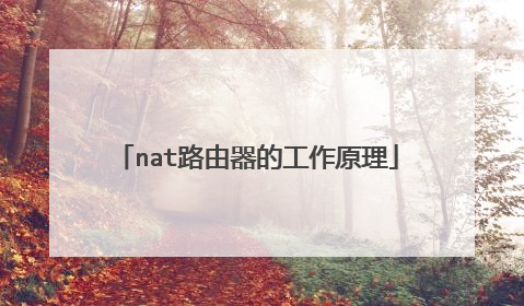 nat路由器的工作原理