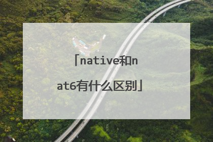 native和nat6有什么区别