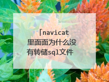 navicat 里面面为什么没有转储sql文件->结构和数据