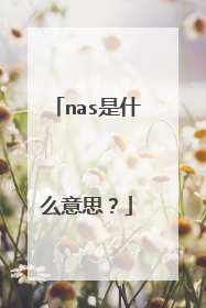 nas是什么意思?