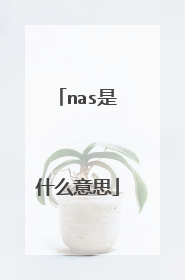 nas是什么意思